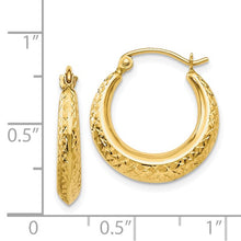 Load image into Gallery viewer, 14K Gold Textured Hollow Hoop Earrings In Multiple Colors
